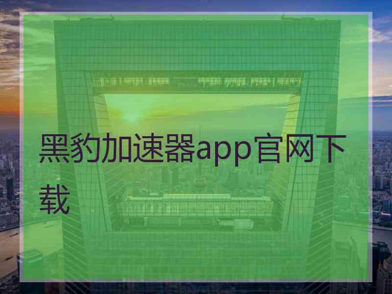 黑豹加速器app官网下载