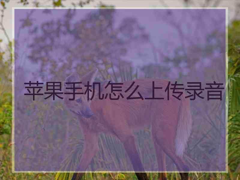 苹果手机怎么上传录音