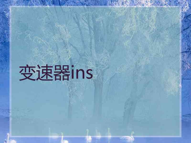 变速器ins