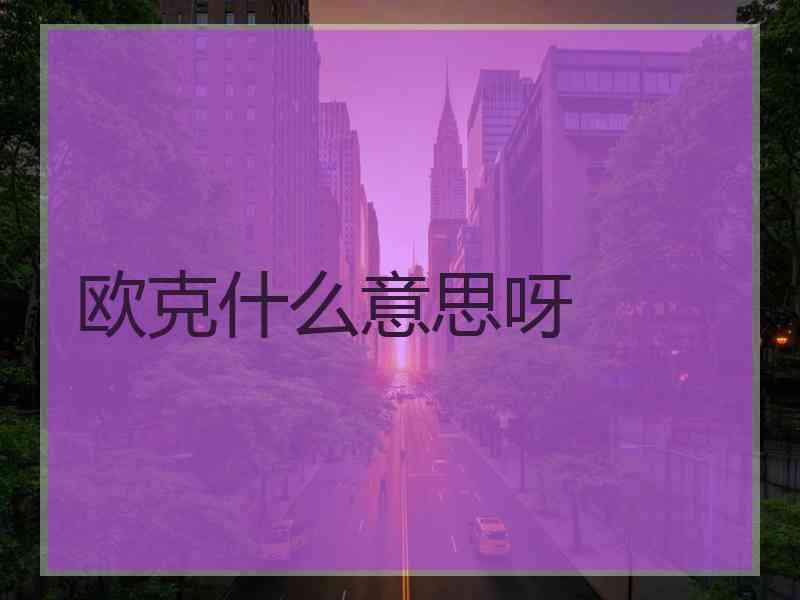 欧克什么意思呀