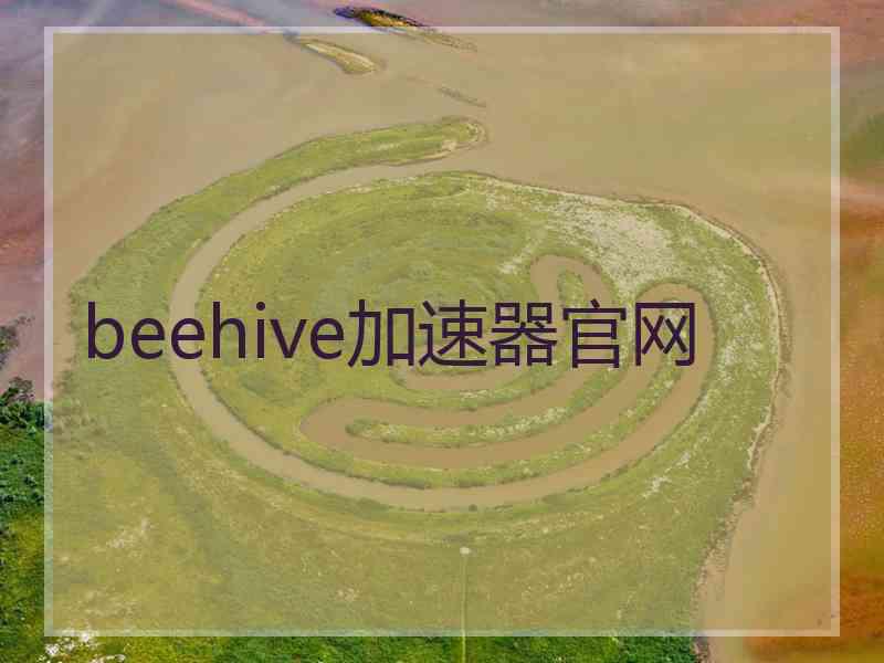 beehive加速器官网