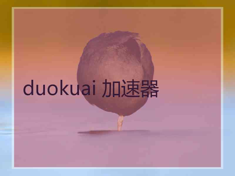 duokuai 加速器