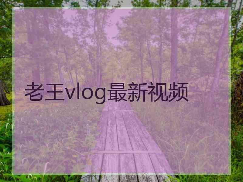 老王vlog最新视频