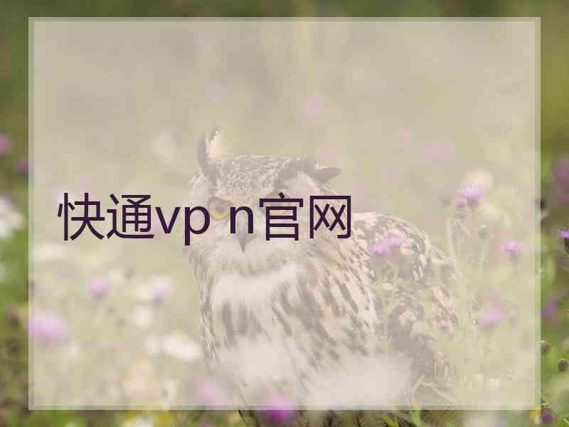 快通vp n官网