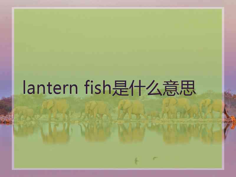 lantern fish是什么意思