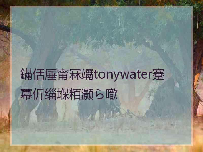 鏋佸厜甯冧竵tonywater蹇冪伒缁堢粨灏ら噷