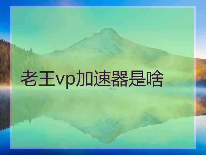 老王vp加速器是啥