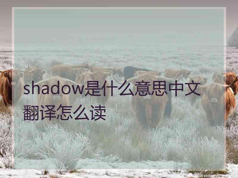 shadow是什么意思中文翻译怎么读