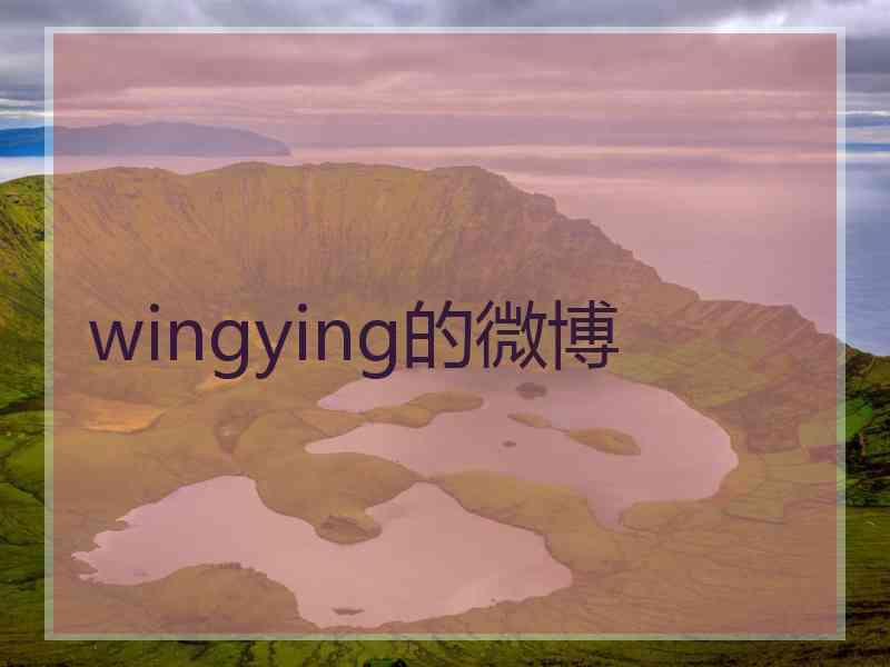 wingying的微博