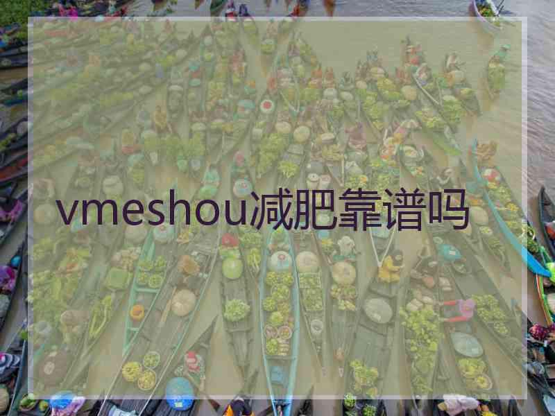 vmeshou减肥靠谱吗