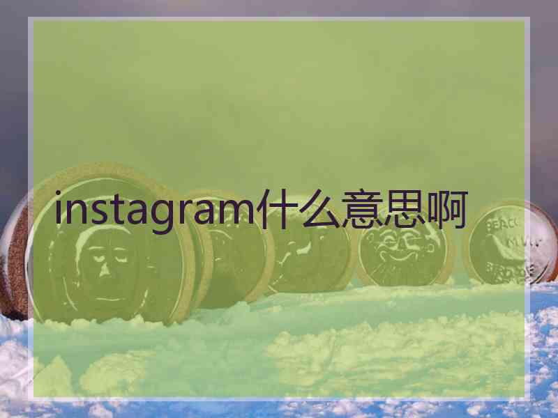 instagram什么意思啊