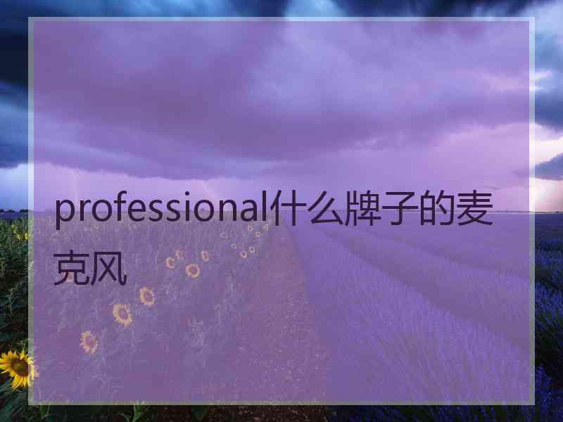 professional什么牌子的麦克风