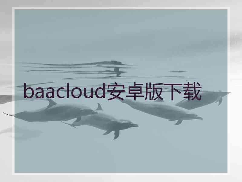 baacloud安卓版下载