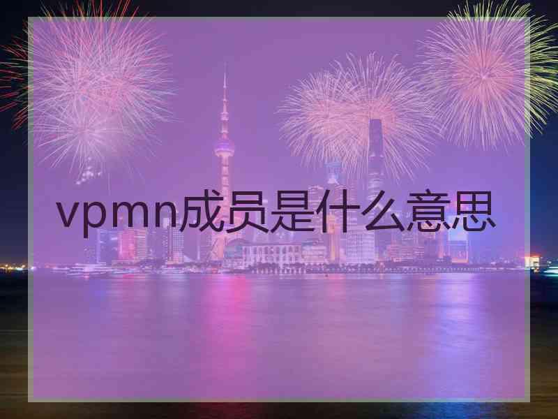 vpmn成员是什么意思