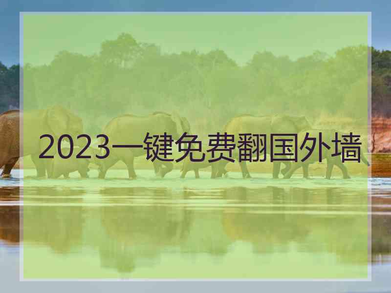 2023一键免费翻国外墙