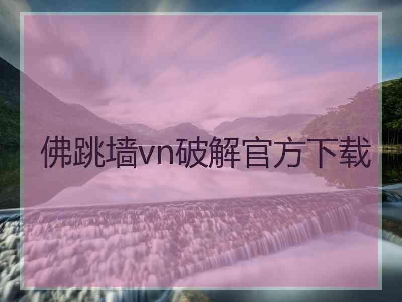 佛跳墙vn破解官方下载