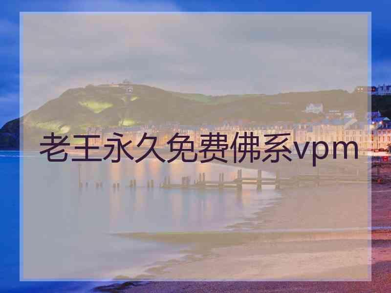 老王永久免费佛系vpm