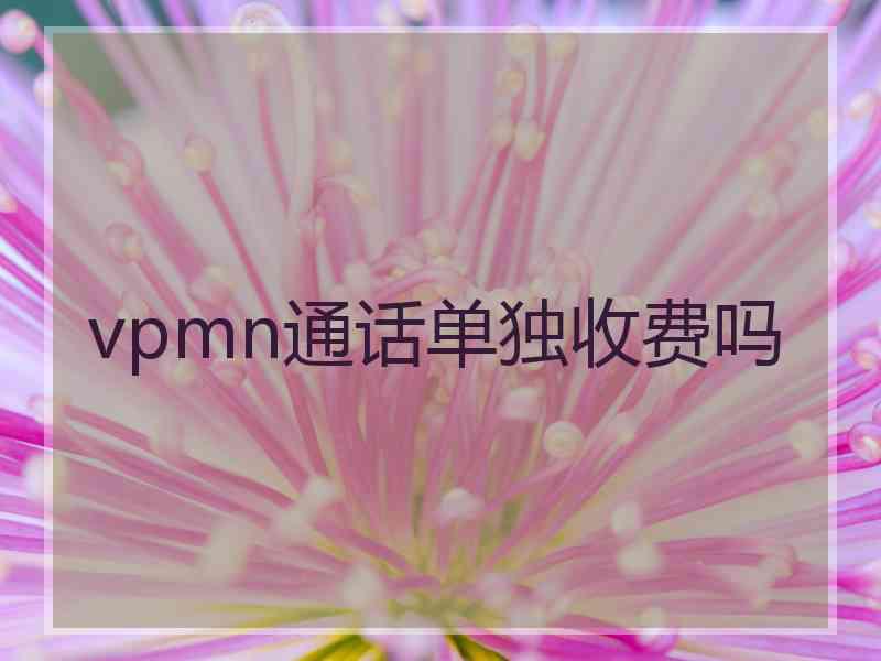 vpmn通话单独收费吗