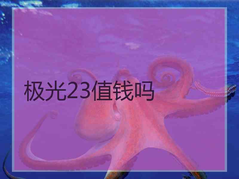 极光23值钱吗