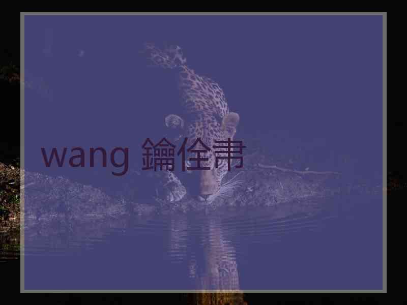 wang 鑰佺帇