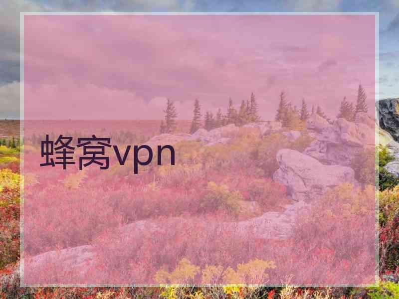 蜂窝vpn