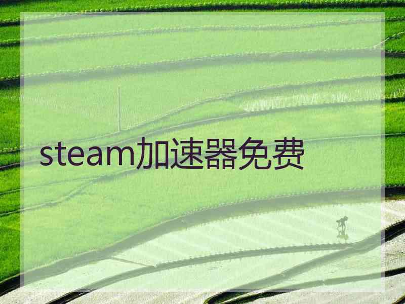 steam加速器免费