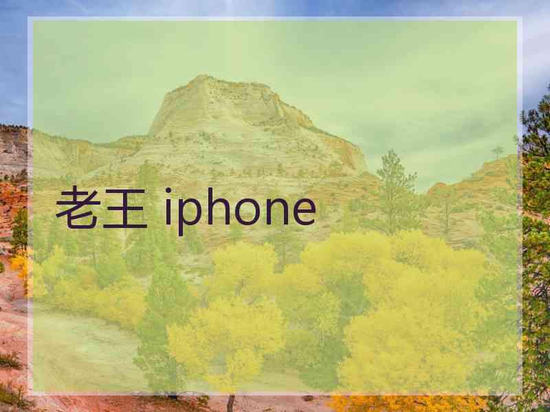 老王 iphone