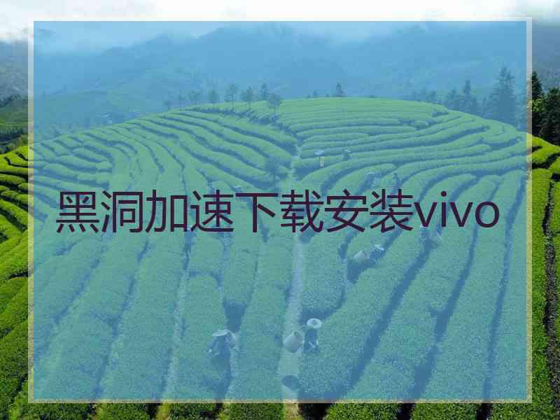 黑洞加速下载安装vivo