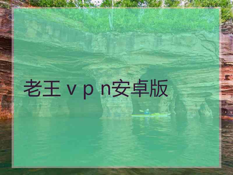 老王 v p n安卓版