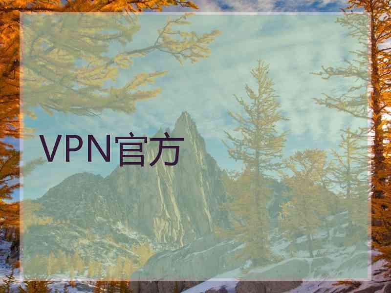 VPN官方