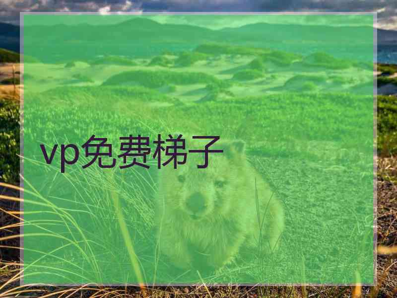 vp免费梯子