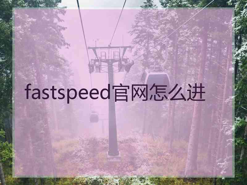 fastspeed官网怎么进