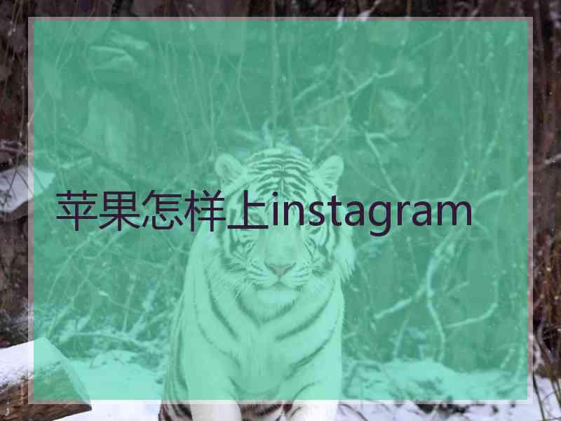 苹果怎样上instagram