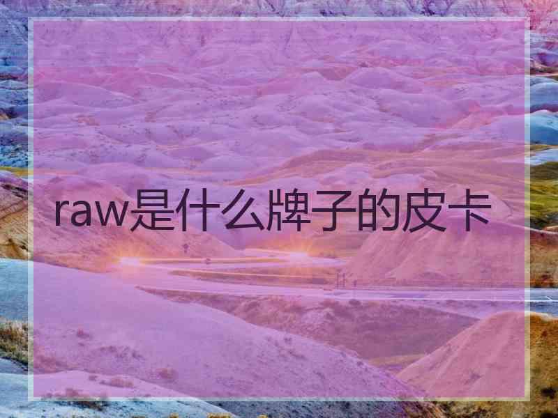 raw是什么牌子的皮卡