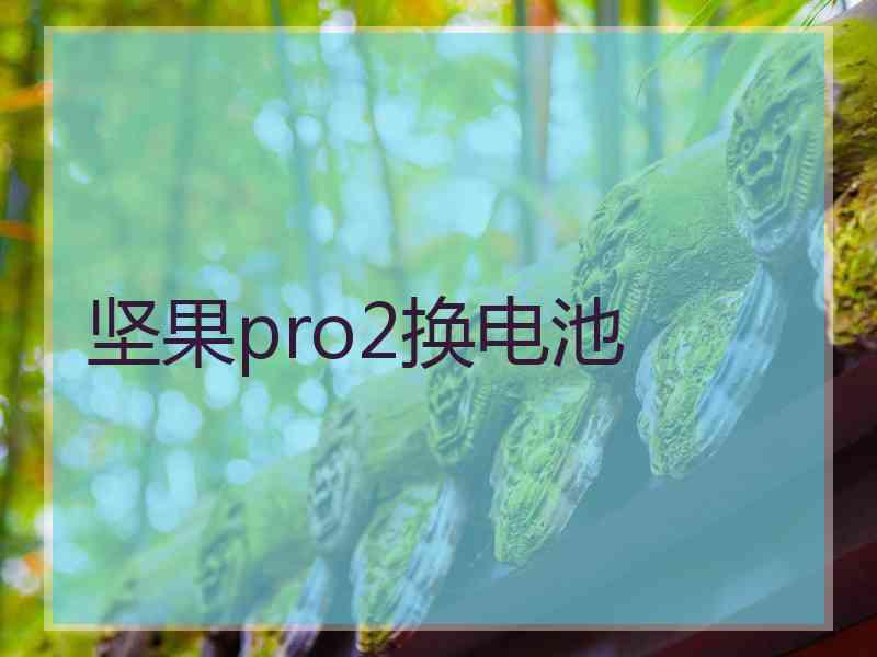 坚果pro2换电池