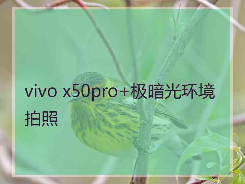 vivo x50pro+极暗光环境拍照