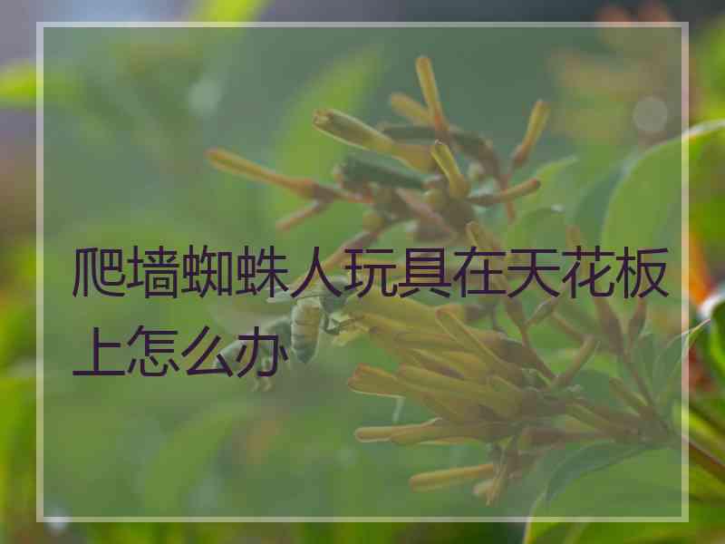 爬墙蜘蛛人玩具在天花板上怎么办