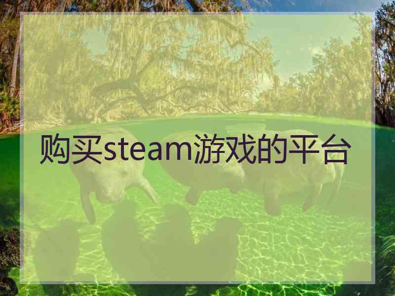 购买steam游戏的平台