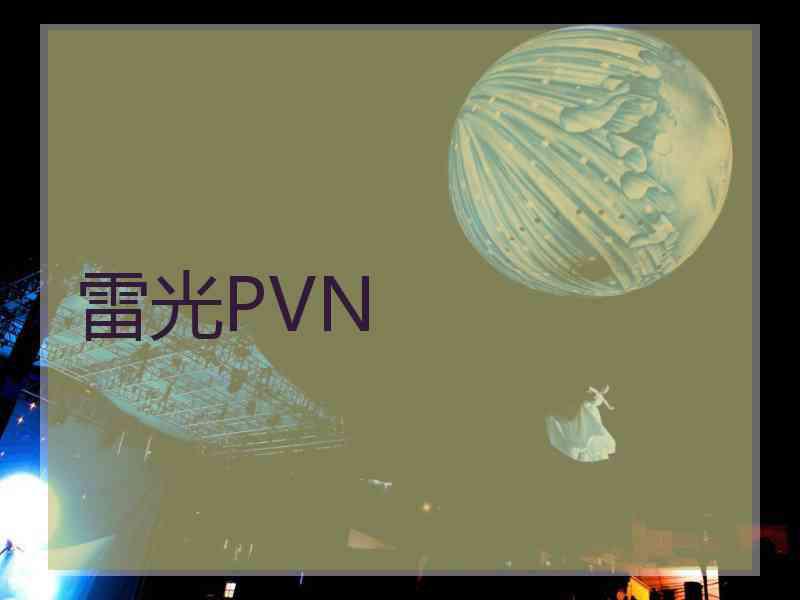 雷光PVN