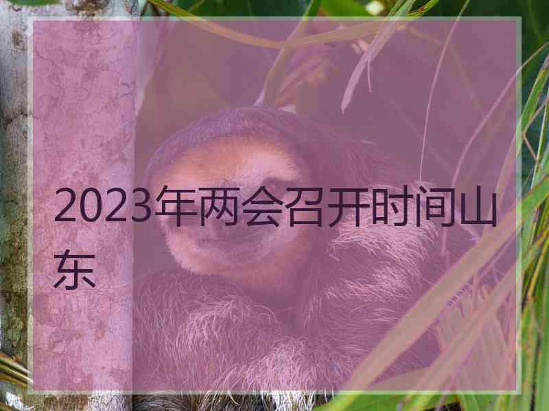 2023年两会召开时间山东