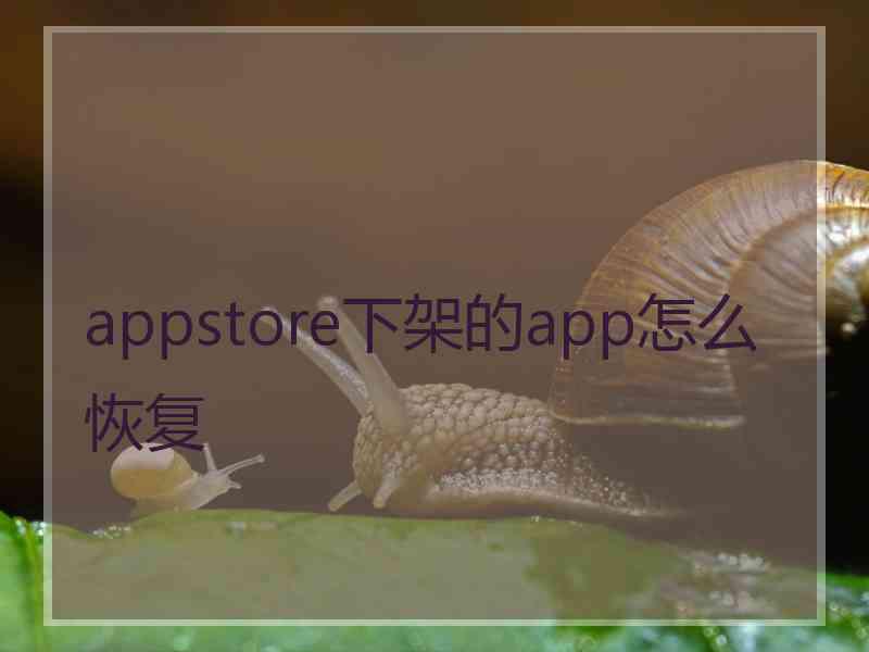 appstore下架的app怎么恢复