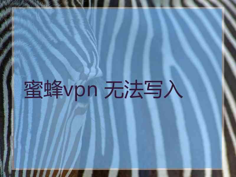 蜜蜂vpn 无法写入