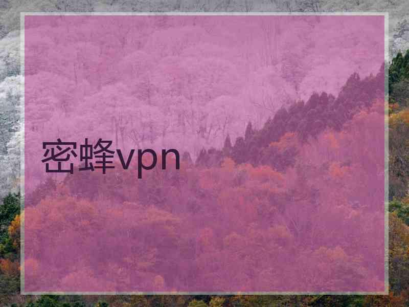 密蜂vpn