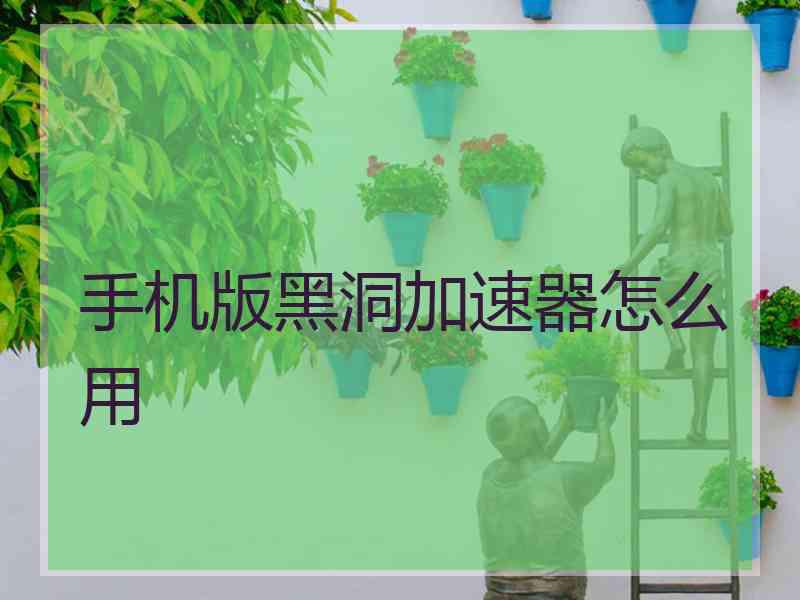 手机版黑洞加速器怎么用