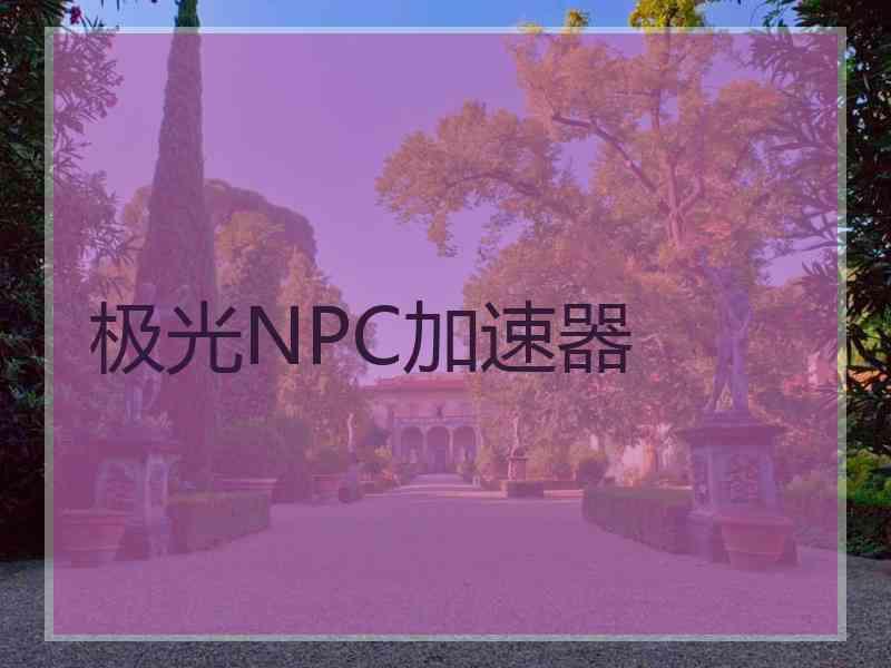 极光NPC加速器