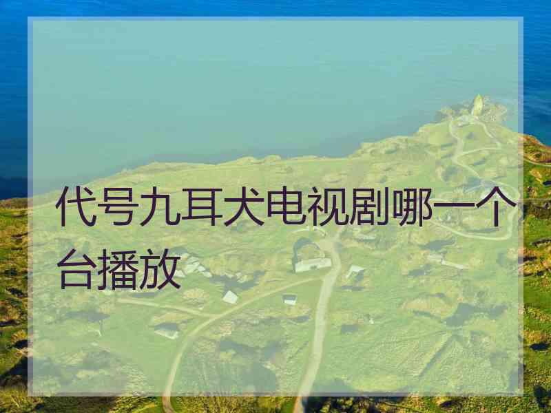 代号九耳犬电视剧哪一个台播放