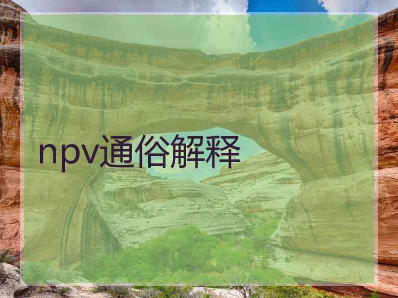 npv通俗解释