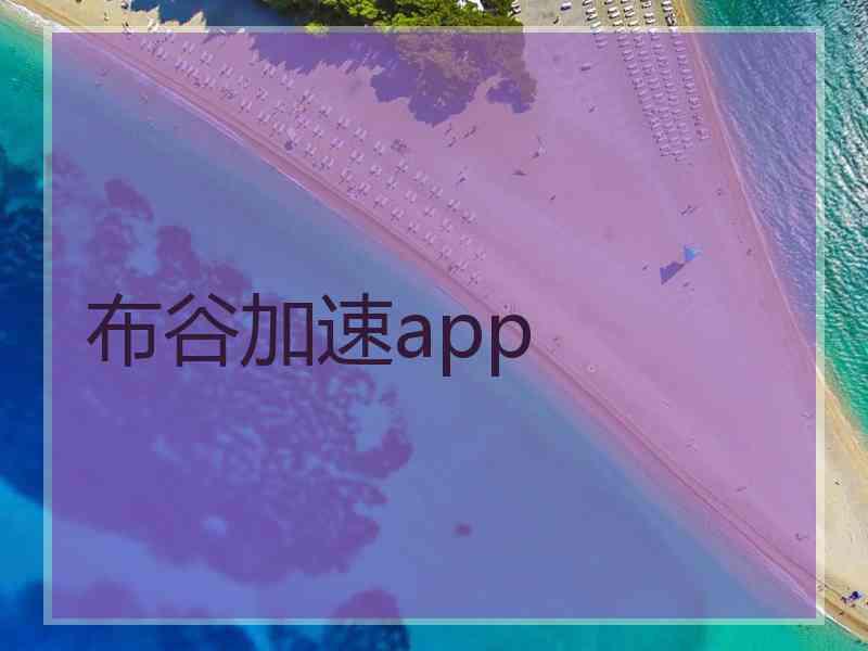 布谷加速app