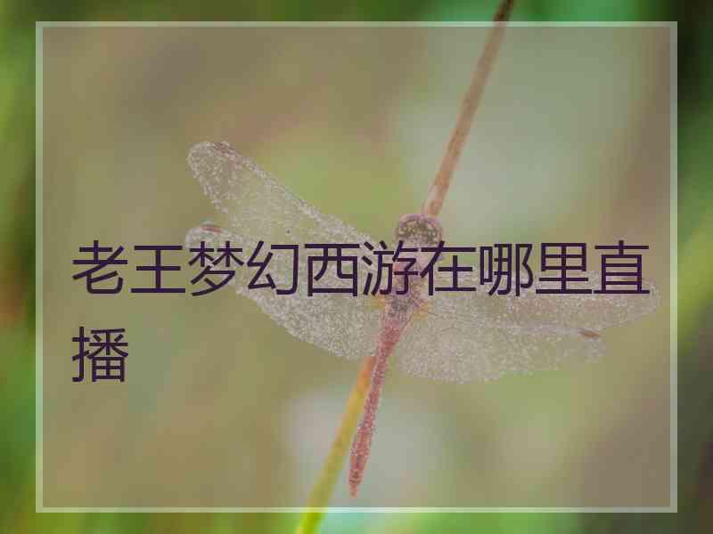 老王梦幻西游在哪里直播