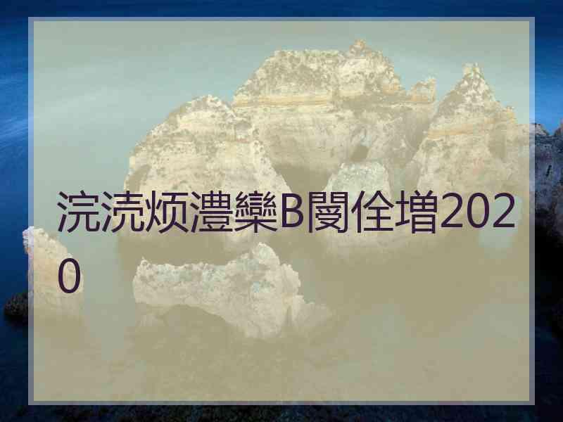 浣涜烦澧欒В閿佺増2020